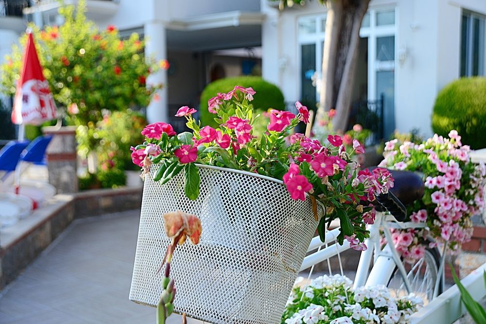 Bronze Hotel Ölüdeniz Exterior foto